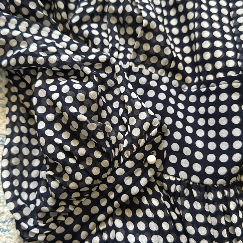 Vintage 80s Albert Nipon 100% silk polkadot pleated semi sheer dress 12 - Picture 5 of 10